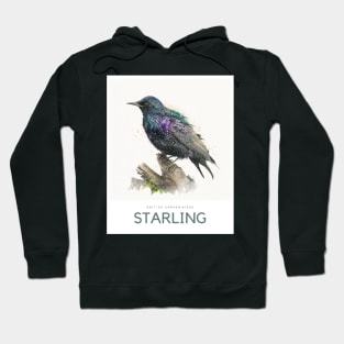 British Garden Birds: Starling Hoodie